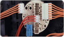 标准定时器(AMP RAST 5 器具)AOA体育(China)官方网站